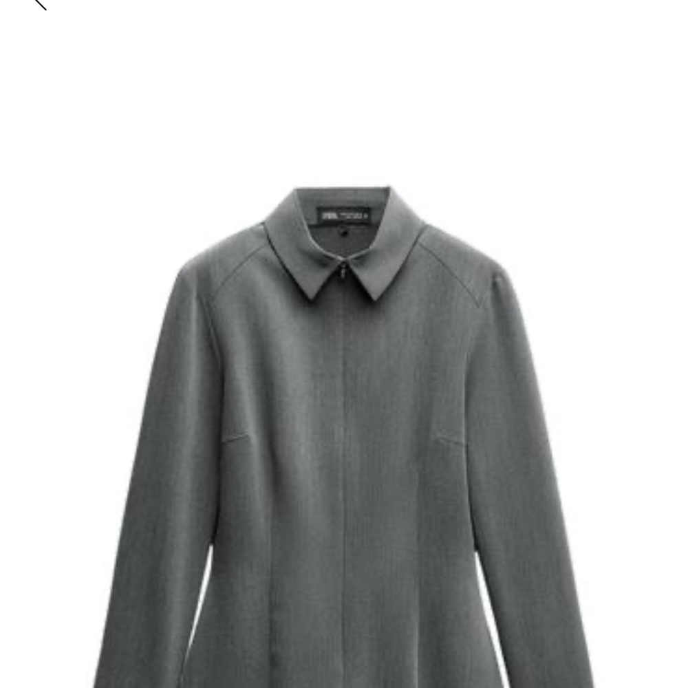 Zara Fitted Mini Shirt Dress